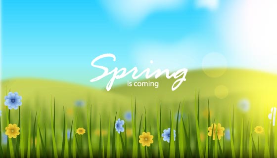 小草小花和蓝天设计梦幻春天背景矢量素材(EPS)