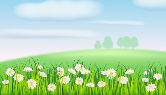 开满白色雏菊的田野设计春天背景矢量素材(EPS)