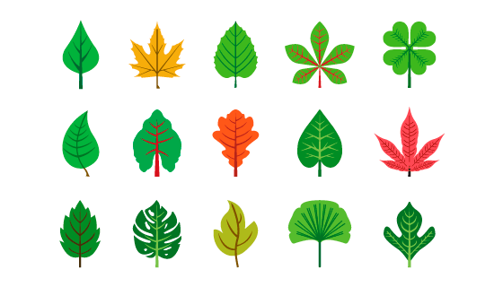 15片不同形状的叶子矢量素材(EPS/免PNG)