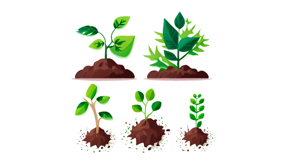 破土而出的植物矢量素材(EPS)