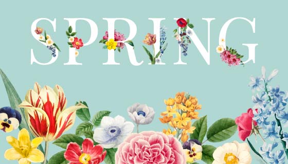 多彩的花朵设计春天背景/壁纸矢量素材(EPS)
