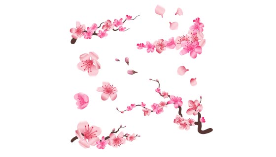 开满桃花的树枝和桃花花瓣矢量素材(EPS)