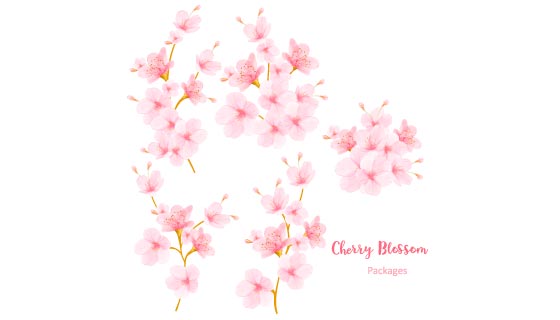 几束美丽的樱花矢量素材(EPS)