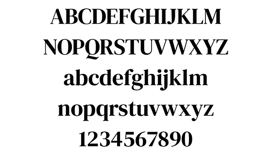 DM Serif Display