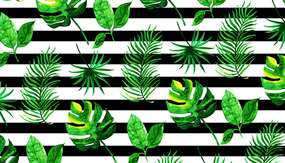 水彩风格热带树叶矢量素材(EPS/PNG)