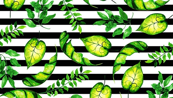 水彩风格热带树叶矢量素材(EPS/PNG)