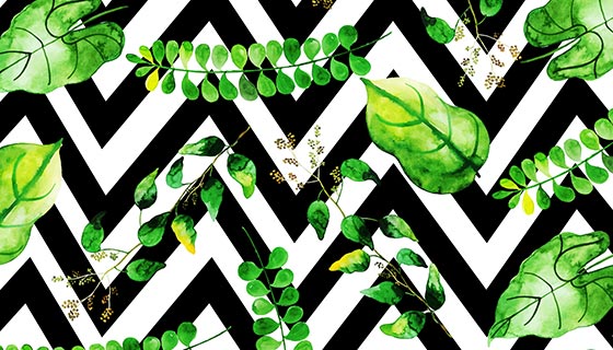 水彩风格热带树叶矢量素材(EPS/PNG)