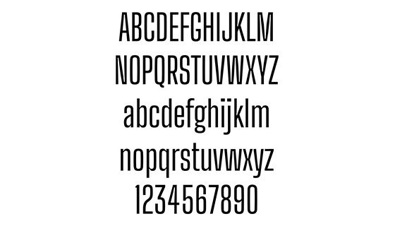 Big Shoulders Display