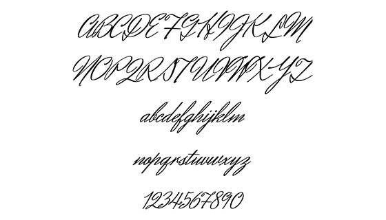 Herr Von Muellerhoff