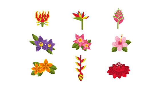 扁平热带花卉矢量素材(EPS/AI/PNG)