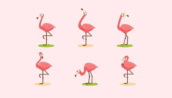 6种不同姿势的火烈鸟矢量素材(EPS/AI/PNG)