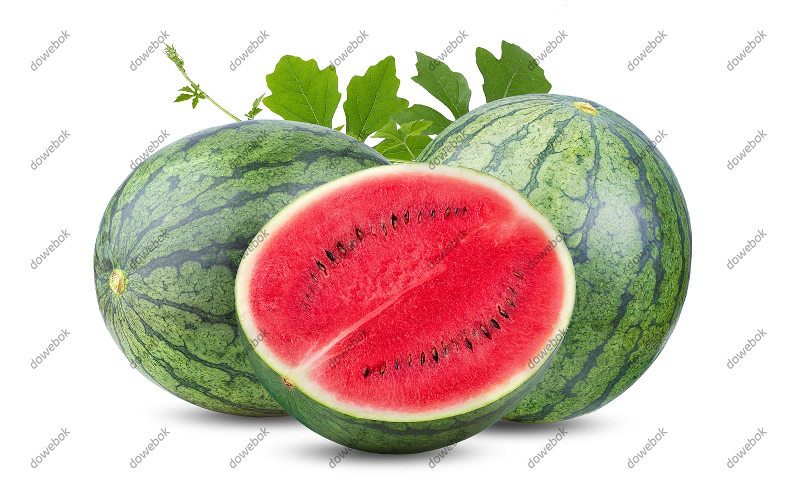 逼真美味的西瓜图片素材(PSD)