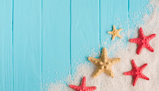 蓝色木板上的海星设计清新夏天背景图片素材(JPG)