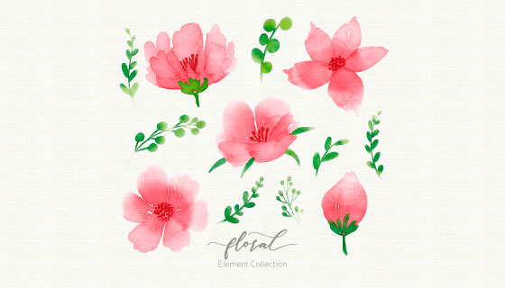 水彩花卉矢量素材(EPS/AI)