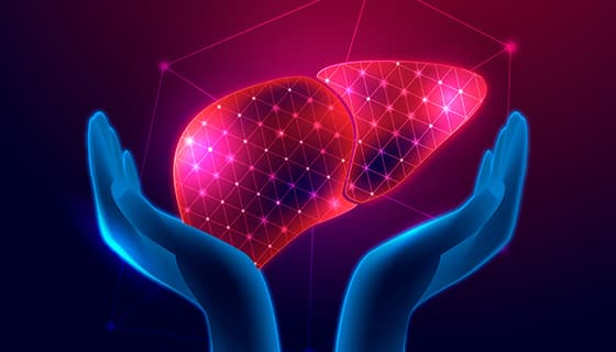 双手捧着肝设计世界肝炎日矢量素材(AI/EPS)