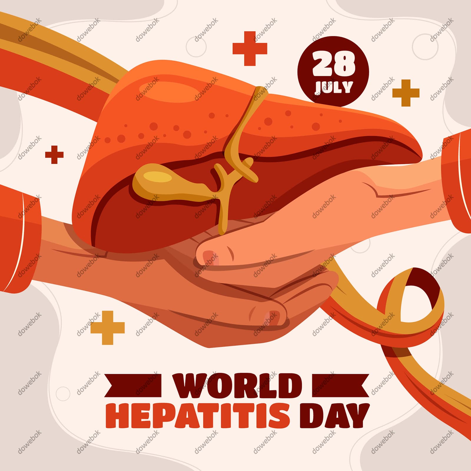 双手捧着的肝脏设计世界肝炎日矢量素材(AI/EPS)