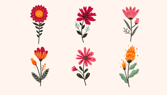 漂亮的花卉矢量素材(EPS/AI/PNG)