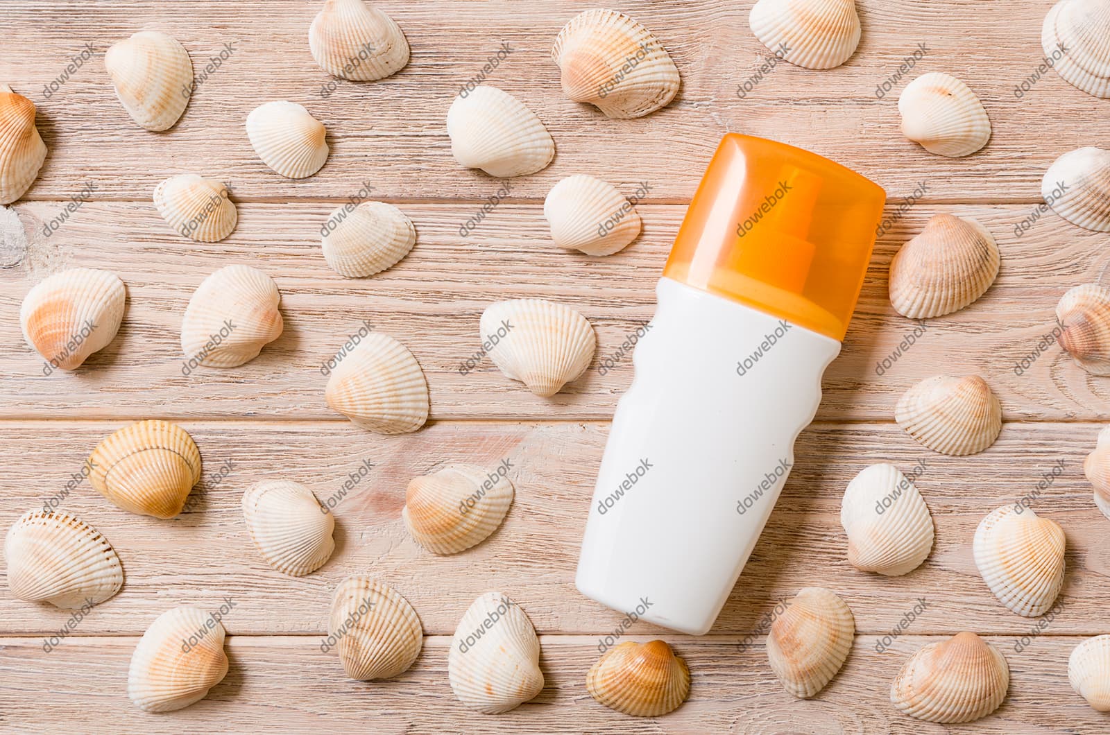 木桌上的防晒霜和贝壳图片素材(JPG)
