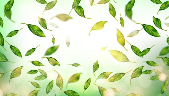 逼真的清新茶叶矢量素材(EPS/AI)