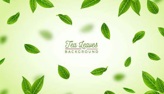 逼真的清新茶叶矢量素材(EPS/AI)