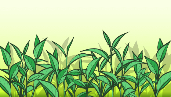 手绘茶叶矢量素材(EPS/AI/PNG)