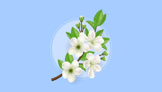 漂亮逼真的苹果树枝矢量素材(EPS/PNG)