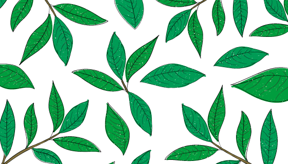 手绘茶叶矢量素材(EPS/AI/PNG)