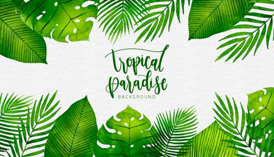 水彩热带植物背景矢量素材(EPS/AI/PNG)