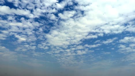 傍晚蔚蓝的天空中布满了白云