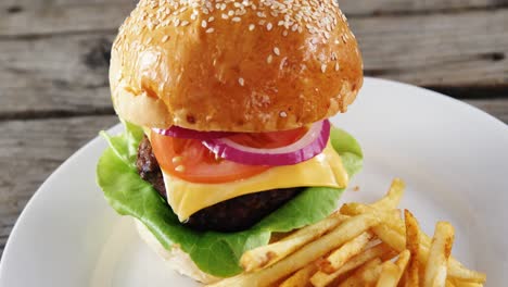 白色盘子里的汉堡和薯条