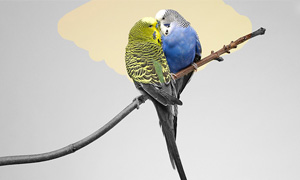 jQuery.eraser – jQuery橡皮擦插件