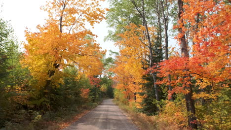 走在一条充满秋色的小道上