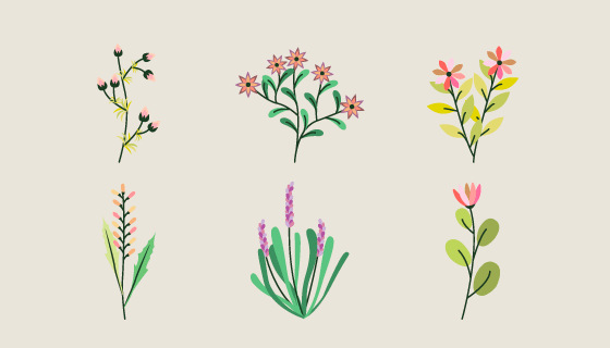 优雅的花卉集合矢量素材(EPS/AI/PNG)