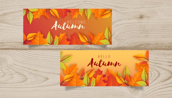 多彩的叶子秋天banner矢量素材(EPS/AI/PNG)