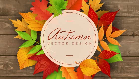 木桌上的彩色秋叶矢量素材(EPS/AI)