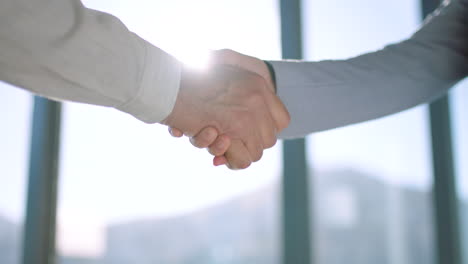 两位男子达成合作愉快握手