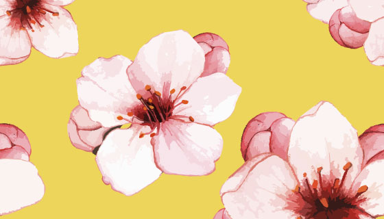 手绘水彩樱花矢量素材(EPS)