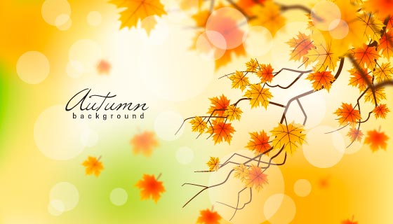 逼真的秋天背景矢量素材(EPS/AI)