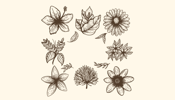 热带花卉矢量素材(EPS/AI/PNG)