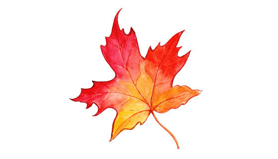 漂亮的水彩秋叶矢量素材(EPS/PNG)
