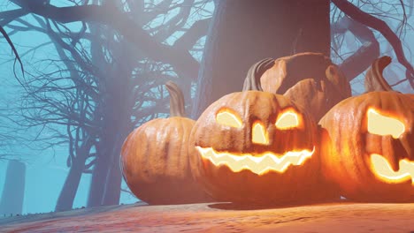 枯树下的万圣节南瓜灯