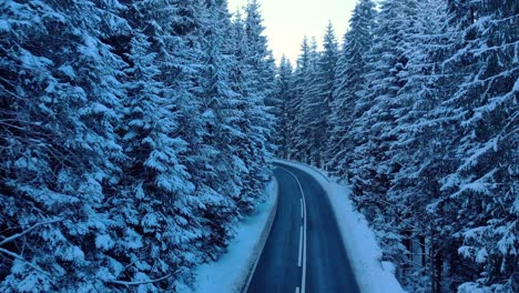 山林道路两旁被大雪覆盖的树木
