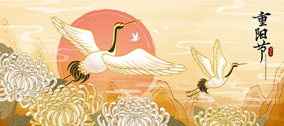 飞舞的白鹤和菊花设计重阳节 banner 矢量素材(EPS)