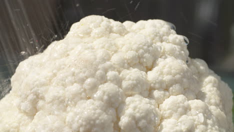 冲洗花椰菜西红柿等新鲜蔬菜