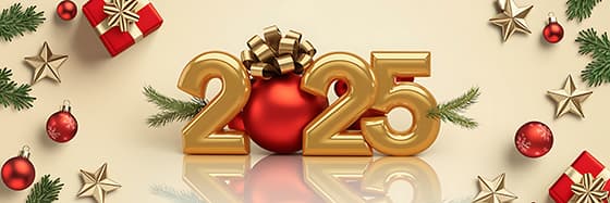 带有圣诞装饰的 2025 新年快乐 banner 图片素材(JPG)