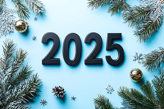 被松枝和雪花包围的数字 2025 新年快乐图片素材(JPG)