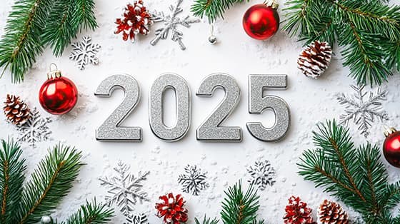 被松枝和雪花包围的银色数字设计 2025 新年快乐图片素材(JPG)