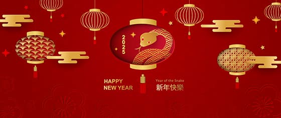 灯笼设计红色喜庆 2025 蛇年春节 banner 矢量素材(EPS)