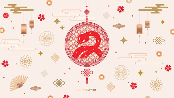 各种各样的中国元素组成的蛇年春节背景矢量素材(EPS)