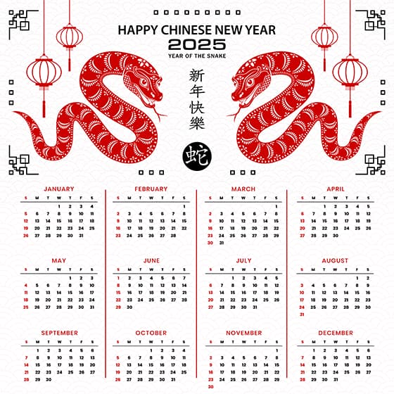 吐舌头的蛇和灯笼设计 2025 蛇年日历矢量素材(EPS)